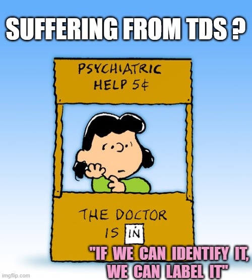 Lucy Van Pelt Psychiatrist | suffering from tds ? "If  we  can  identify  it,
we  can  label  it" | image tagged in lucy van pelt psychiatrist | made w/ Imgflip meme maker