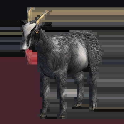 Goat Blank Meme Template