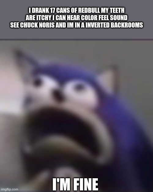 distress | I DRANK 17 Cans of REDBull MY TEETH Are ITChY I CAN HEAR COLOR FEEL SOUND SEE CHUCK NORIS AND IM IN A INVERTED BACKROOMS; I'm fine | image tagged in distress | made w/ Imgflip meme maker