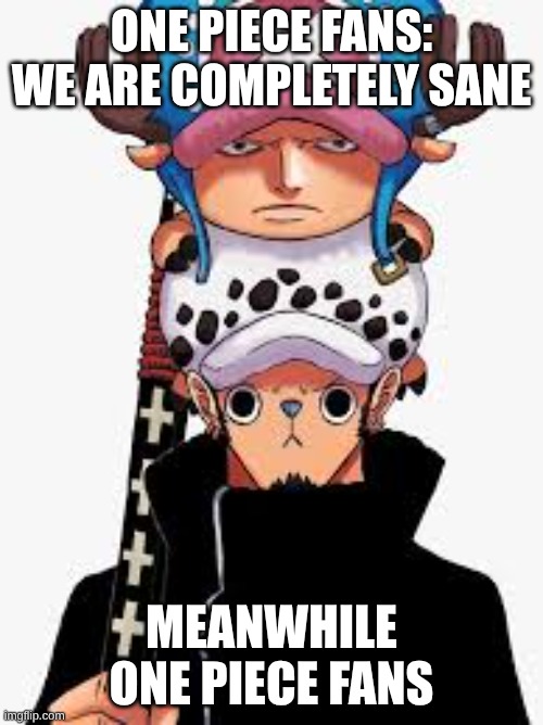 one piece meme | One Piece fans: we are completely sane; meanwhile One Piece fans | image tagged in meme | made w/ Imgflip meme maker