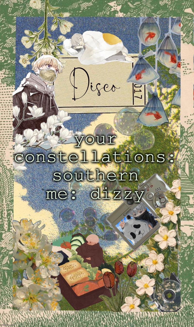 Disco's spring template | your constellations: southern
me: dizzy | image tagged in disco's spring template | made w/ Imgflip meme maker