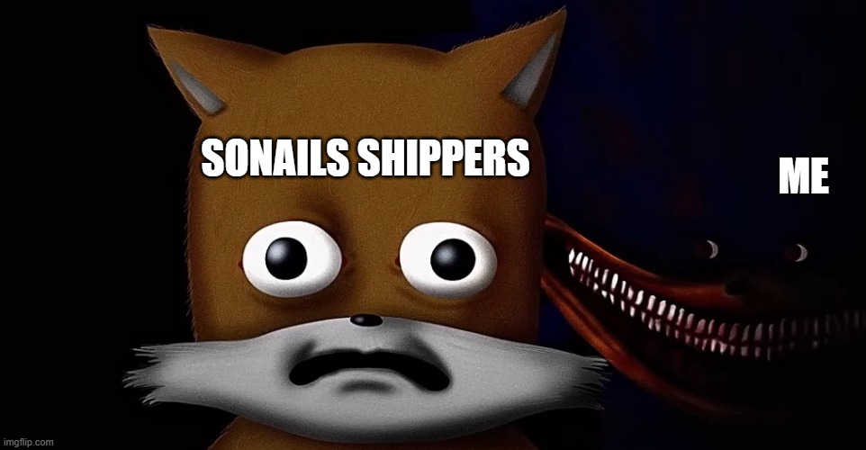 tails and sonic | sonails shippers; me | image tagged in tails and sonic | made w/ Imgflip meme maker