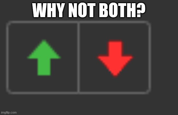 why not? | why not both? | image tagged in i know you just tried to do it,upvote,downvote,updown | made w/ Imgflip meme maker