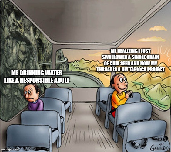 Drink the Water | ME REALIZING I JUST SWALLOWED A SINGLE GRAIN OF CHIA SEED AND NOW MY THROAT IS A DIY TAPIOCA PROJECT; ME DRINKING WATER LIKE A RESPONSIBLE ADULT | image tagged in two guys on a bus | made w/ Imgflip meme maker