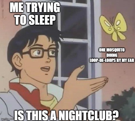 Nightclub | ME TRYING TO SLEEP; ONE MOSQUITO DOING LOOP-DE-LOOPS BY MY EAR; IS THIS A NIGHTCLUB? | image tagged in is this butterfly | made w/ Imgflip meme maker