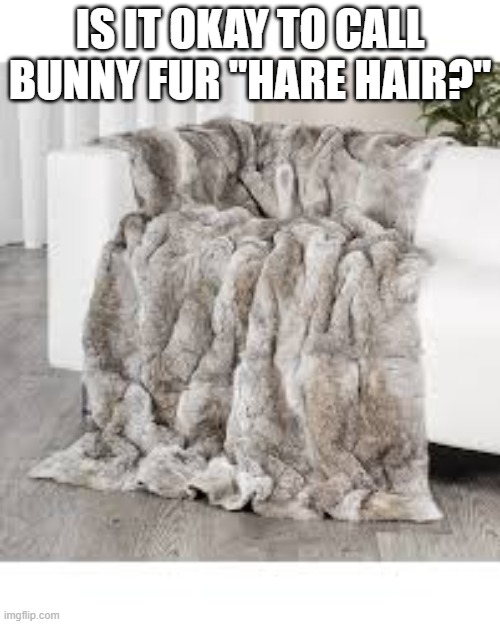 Is it okay to call bunny fur "hare hair"? | is it okay to call bunny fur "Hare hair?" | image tagged in funny,humor,play on words,bunny,hair,rabbit | made w/ Imgflip meme maker