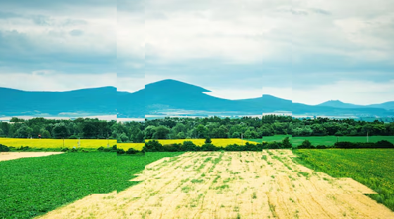 Glitch Countryside Blank Meme Template