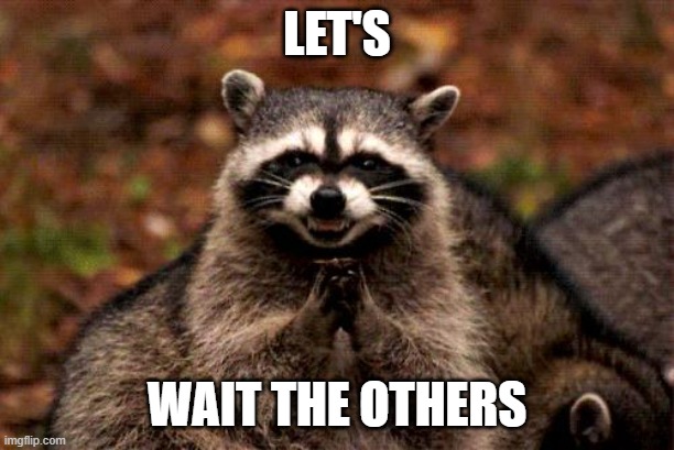 Evil Plotting Raccoon | let's; wait the others | image tagged in memes,evil plotting raccoon | made w/ Imgflip meme maker