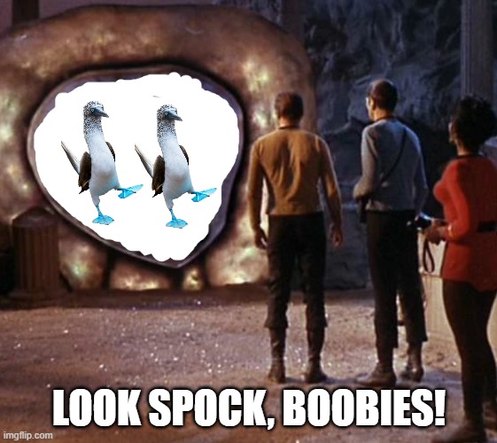 Boobies!!! | Look Spock, boobies! | image tagged in guardian of forever star trek transparent portal | made w/ Imgflip meme maker