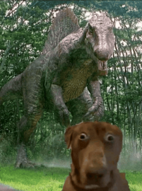 Spino and Dog Blank Meme Template