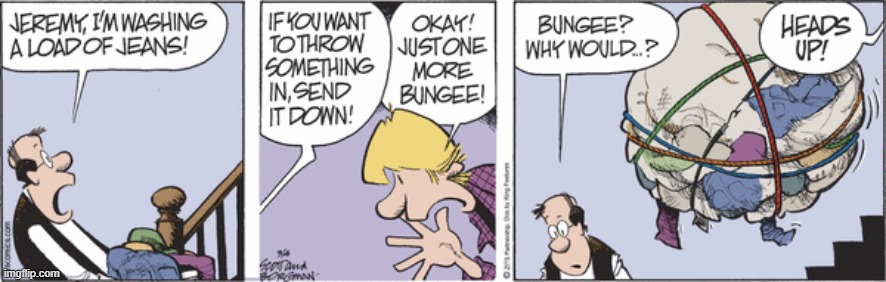 Zits | image tagged in comics | made w/ Imgflip meme maker