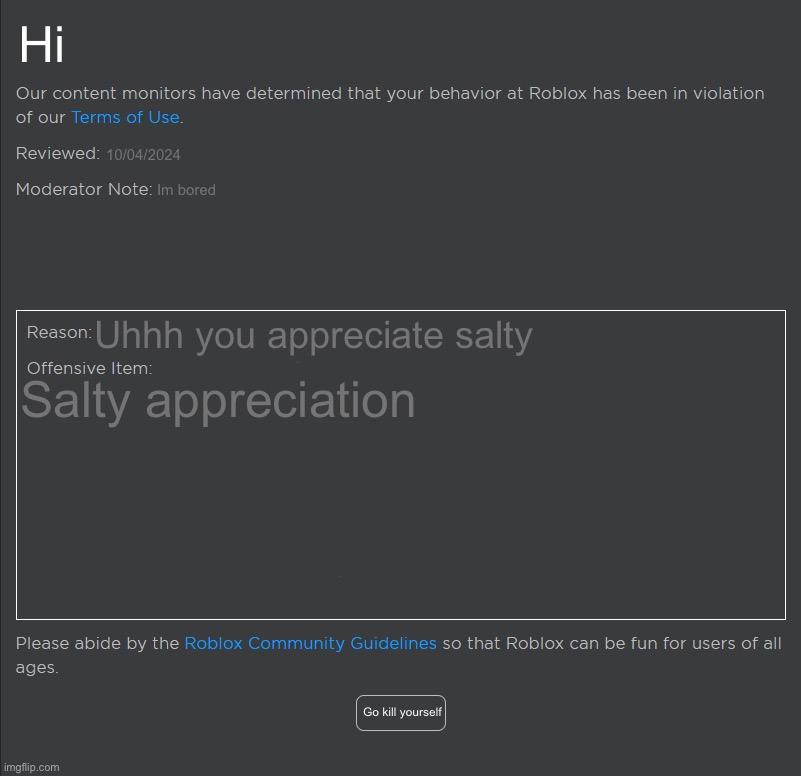Hi roblox ban | Hi; 10/04/2024; Im bored; Salty appreciation; Uhhh you appreciate salty; Go kill yourself | image tagged in roblox ban | made w/ Imgflip meme maker
