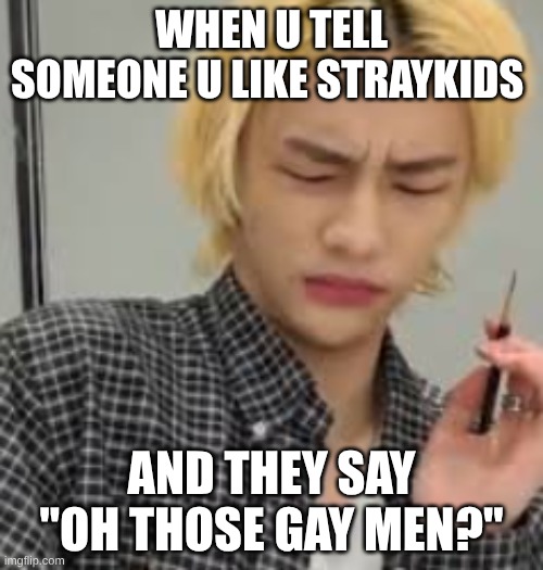 stays will get the meanings | when u tell someone u like straykids; and they say "oh those gay men?" | image tagged in hyunjin-,k-pop,stray kids | made w/ Imgflip meme maker
