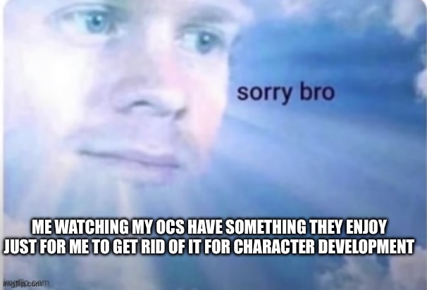 Sorry Bro | Me watching my ocs have something they enjoy just for me to get rid of it for character development | image tagged in sorry bro | made w/ Imgflip meme maker