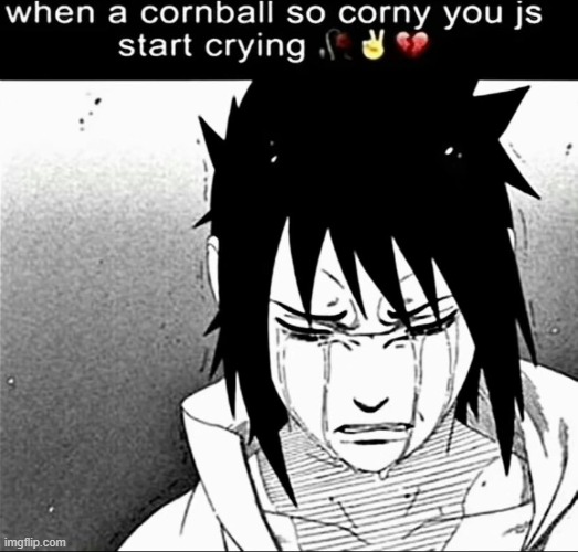 When a cornball so corny you js start crying | image tagged in when a cornball so corny you js start crying | made w/ Imgflip meme maker