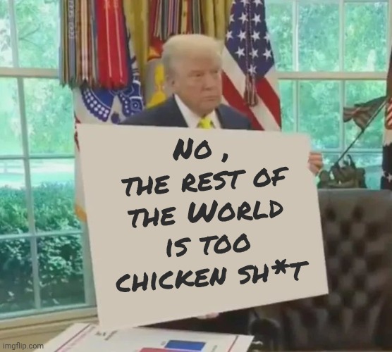 Your Idol President Trump | No , the rest of the World is too chicken sh*t | image tagged in your idol president trump | made w/ Imgflip meme maker