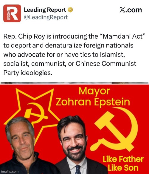 Ban whackadoodles | image tagged in img 5 jpeg,mayor zohran epstein,banned | made w/ Imgflip meme maker