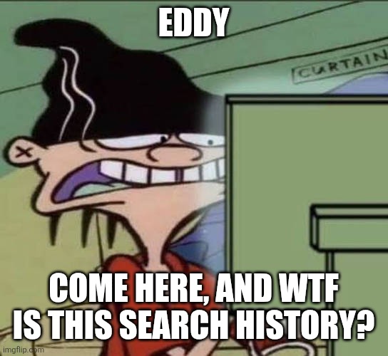 Search History | Eddy; Come here, and wtf is this search history? | image tagged in ed edd n eddy | made w/ Imgflip meme maker