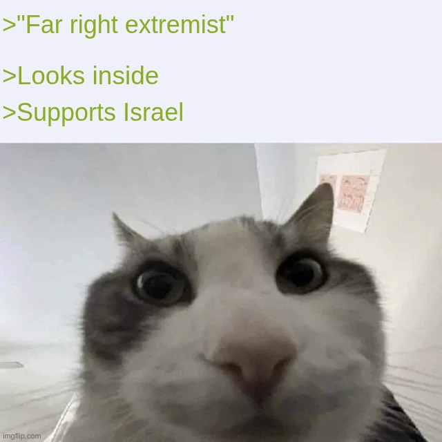 To anyone calling Trump or other similar politicians "nazis" | >"Far right extremist"; >Looks inside; >Supports Israel | image tagged in green text cat,israel,right,extreme | made w/ Imgflip meme maker