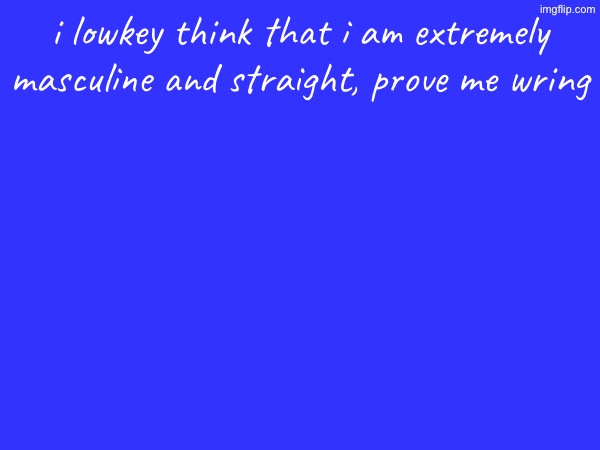 i lowkey think that i am extremely masculine and straight, prove me wrong | made w/ Imgflip meme maker