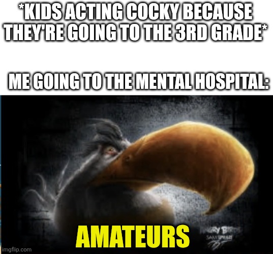 Amateurs... | *Kids acting cocky because they're going to the 3rd grade*; Me going to the mental hospital:; Amateurs | image tagged in realistic mighty eagle | made w/ Imgflip meme maker
