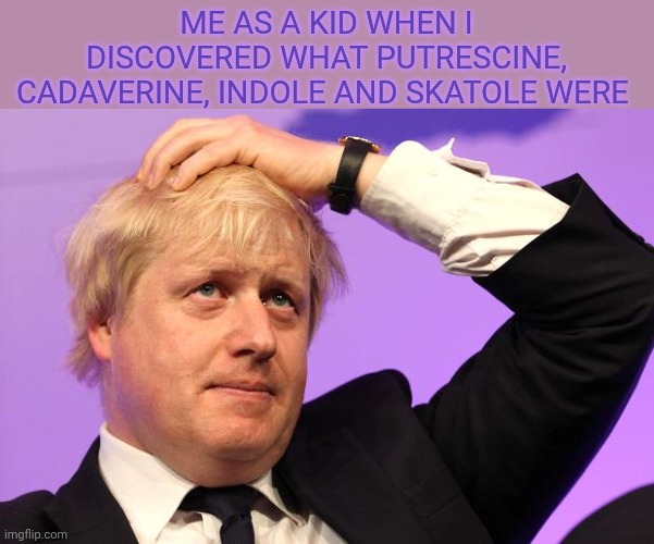 Molecules of d3ath. Yeah internet can gift to you nightmares | Me as a kid when i discovered what putrescine, cadaverine, indole and skatole were | image tagged in boris johnson | made w/ Imgflip meme maker