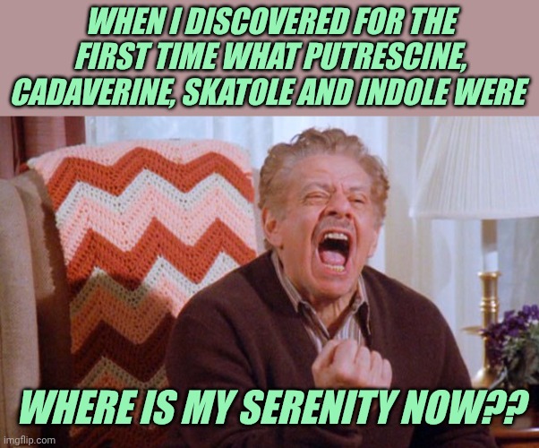 Serenity Now | When I discovered for the first time what putrescine, cadaverine, skatole and indole were; Where is my serenity now?? | image tagged in serenity now | made w/ Imgflip meme maker