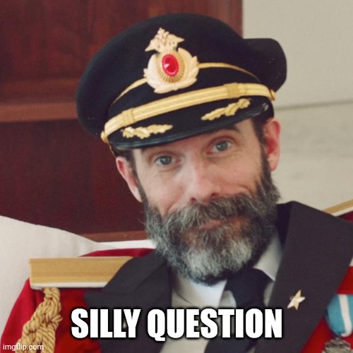 Captain Obvious | Silly Question | image tagged in captain obvious | made w/ Imgflip meme maker