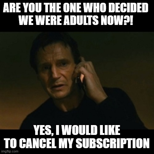 Adulting Subscription | Are you the one who decided 
we were adults now?! Yes, I would like to cancel my subscription | image tagged in memes,liam neeson taken | made w/ Imgflip meme maker