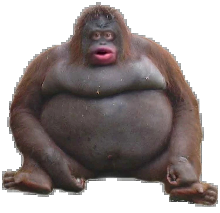 Monke Blank Meme Template