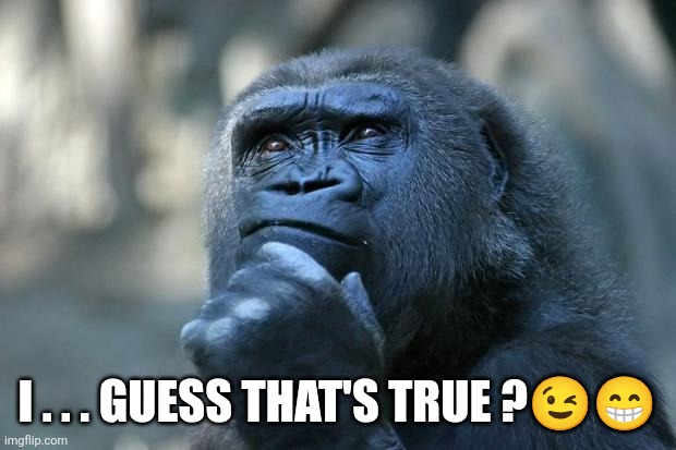 Deep Thoughts | I . . . Guess that's true ??? | image tagged in deep thoughts | made w/ Imgflip meme maker