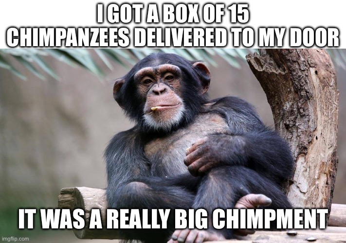 What are you even going to do with 15 chimps? | I got a box of 15 chimpanzees delivered to my door; It was a really big chimpment | image tagged in chimp,chimpment,delivery | made w/ Imgflip meme maker