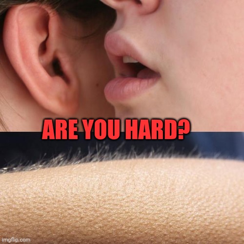 Whisper in ear | Are you hard? | image tagged in whisper in ear | made w/ Imgflip meme maker
