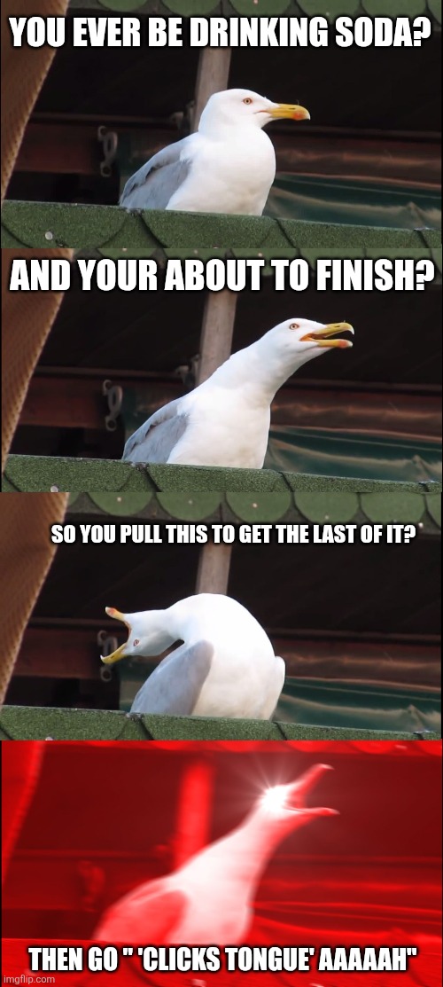 No? Just me? Ok | You ever be drinking soda? And your about to finish? So you pull this to get the last of it? Then go " 'clicks tongue' AAAAAH" | image tagged in memes,inhaling seagull,weird stuff | made w/ Imgflip meme maker