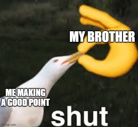 my brother hates my opinions | my brother; me making a good point | image tagged in shut bird | made w/ Imgflip meme maker