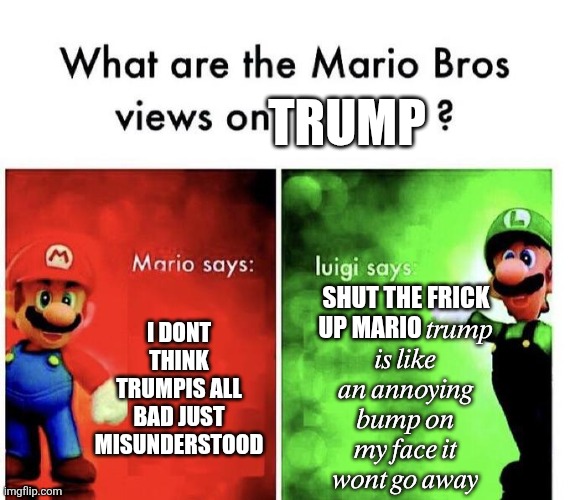 Luigi is true fr fr | Trump; Shut the frick up mario 𝑡𝑟𝑢𝑚𝑝 𝑖𝑠 𝑙𝑖𝑘𝑒 𝑎𝑛 𝑎𝑛𝑛𝑜𝑦𝑖𝑛𝑔 𝑏𝑢𝑚𝑝 𝑜𝑛 𝑚𝑦 𝑓𝑎𝑐𝑒 𝑖𝑡 𝑤𝑜𝑛𝑡 𝑔𝑜 𝑎𝑤𝑎𝑦; I dont think trumpis all bad just misunderstood | image tagged in mario bros views | made w/ Imgflip meme maker
