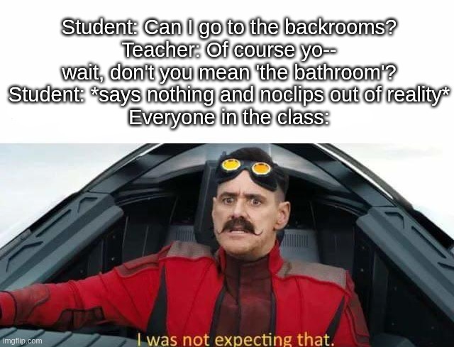 Don't make eye contact with any entities | Student: Can I go to the backrooms?
Teacher: Of course yo-- wait, don't you mean 'the bathroom'?
Student: *says nothing and noclips out of reality*
Everyone in the class: | image tagged in i was not expecting that,the backrooms,noclip,school,teacher,lol | made w/ Imgflip meme maker