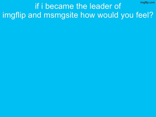 if i became the leader of imgflip and msmgsite how would you feel? | made w/ Imgflip meme maker