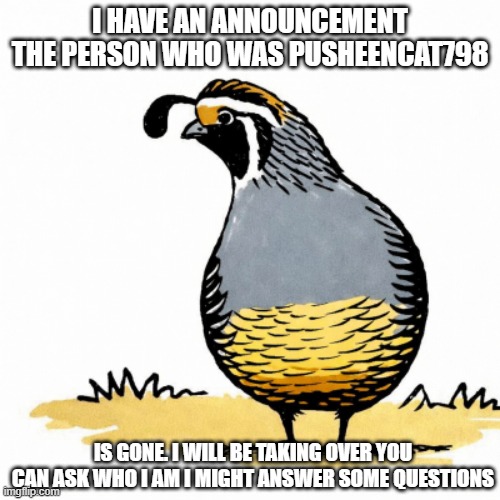 his is Important! | i have an announcement the person who was PusheenCat798; is gone. i will be taking over you can ask who i am I might answer some questions | image tagged in me3ktdmpdv5a8vbr5hfcghphce1scj9foffl3nwv png | made w/ Imgflip meme maker