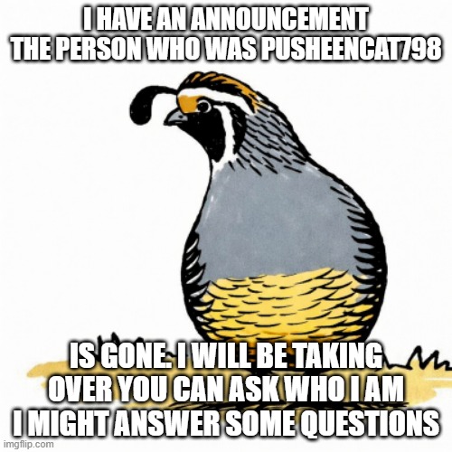 This is Important! the person who you think you knew has... gone to a better place | I have an announcement the person who was PusheenCat798; is gone. I will be taking over you can ask who I am I might answer some questions | image tagged in me3ktdmpdv5a8vbr5hfcghphce1scj9foffl3nwv png | made w/ Imgflip meme maker