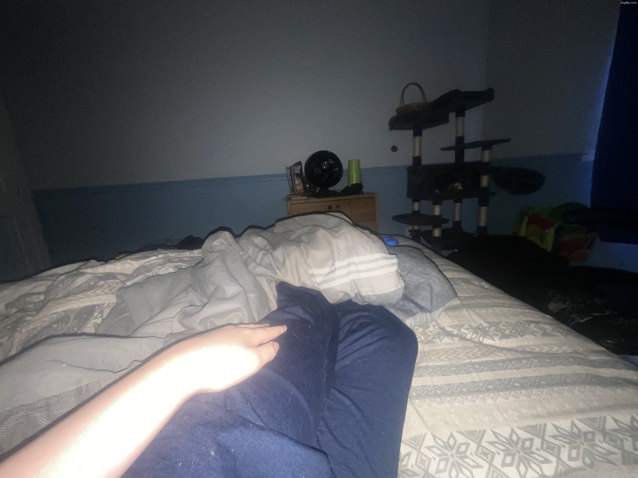 i do not look feminine at all | image tagged in botslayer99 is not a femboy | made w/ Imgflip meme maker