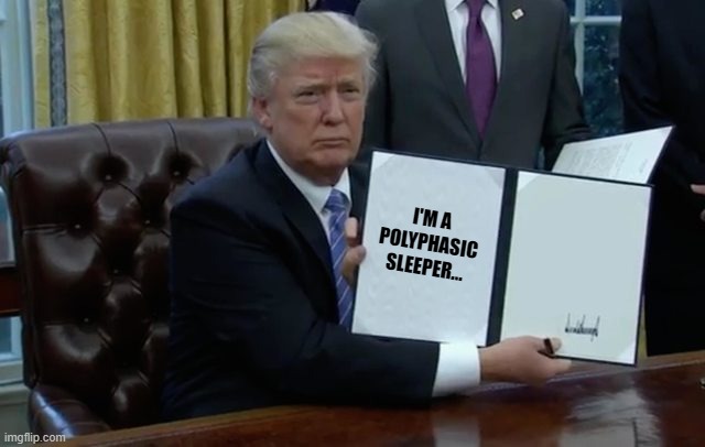 trump signs | I'm a
polyphasic sleeper... | image tagged in trump signs | made w/ Imgflip meme maker