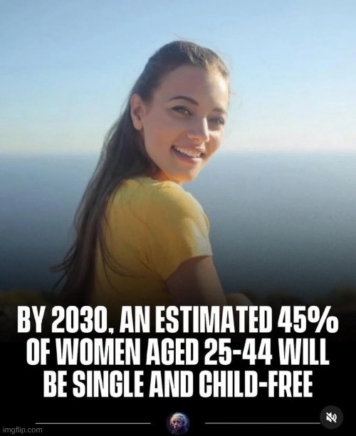 Because they have unprotected hoohay outside of marriage and then get an abortion out of convenience | made w/ Imgflip meme maker