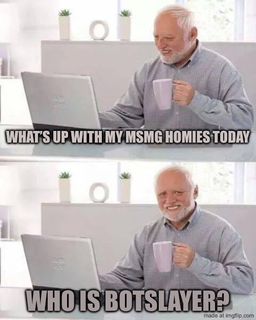 Just checking in | What’s up with my msmg homies today; Who is botslayer? | image tagged in memes,hide the pain harold | made w/ Imgflip meme maker