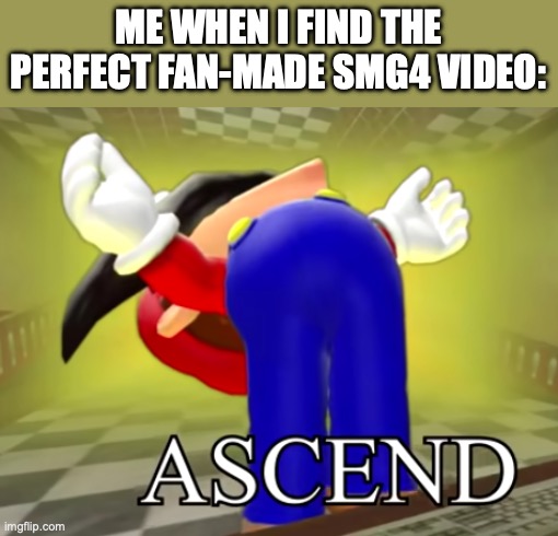P 3 R F 3 C T 1 0 N ! ! ! | Me when I find the perfect fan-made SMG4 video: | image tagged in smg4 mario ascends,smg4 | made w/ Imgflip meme maker