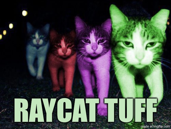 Wrong Neighborhood RayCats | Raycat tuff | image tagged in wrong neighborhood raycats | made w/ Imgflip meme maker