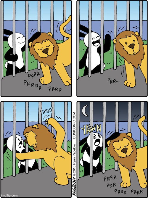 Buni Comics | image tagged in comics,buni comics,zoo,lion,petting,dont stop | made w/ Imgflip meme maker