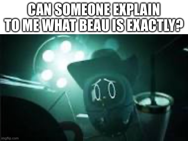 WHAT IS IT?! | Can someone explain to me what beau is exactly? | image tagged in oh wow are you actually reading these tags | made w/ Imgflip meme maker