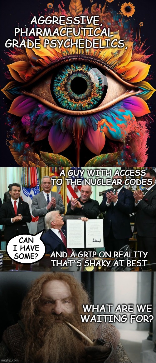 Anyone else always wanted to see a tripping clown? | aggressive,
pharmaceutical-
grade psychedelics, a guy with access
to the nuclear codes; can I have some? and a grip on reality that's shaky at best; what are we waiting for? | image tagged in psychedelic eye with flowers,gimli certainty of death | made w/ Imgflip meme maker