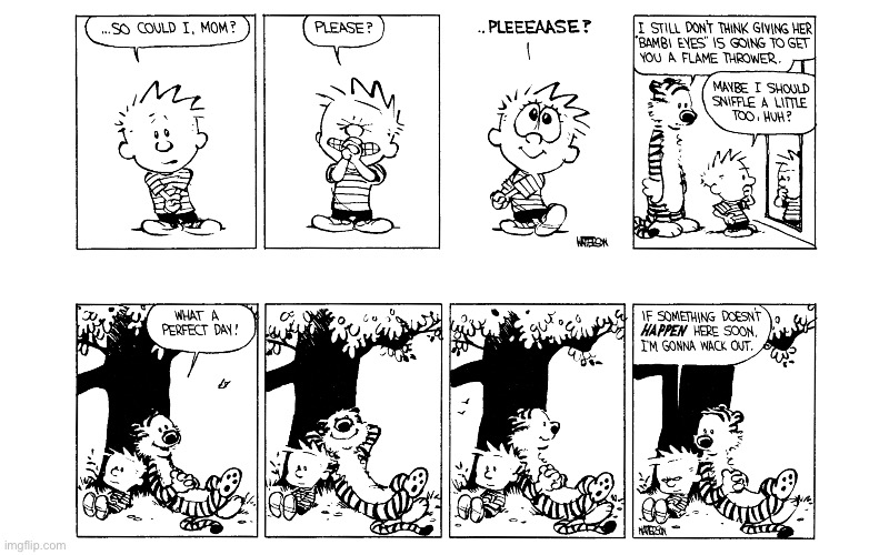 image tagged in calvin and hobbes,comics | made w/ Imgflip meme maker